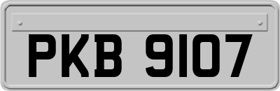 PKB9107