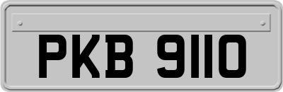 PKB9110