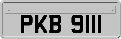 PKB9111