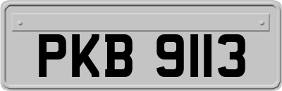 PKB9113