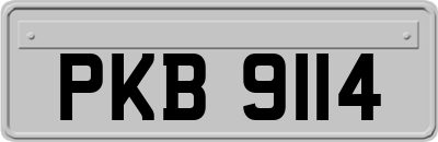 PKB9114