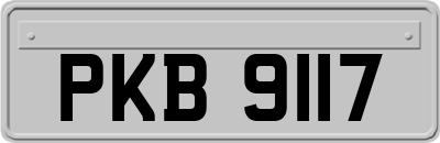 PKB9117