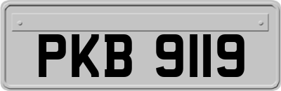 PKB9119