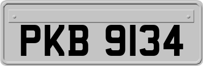 PKB9134