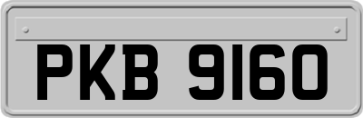 PKB9160