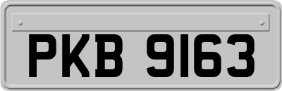 PKB9163