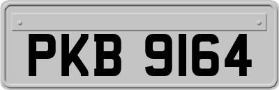 PKB9164