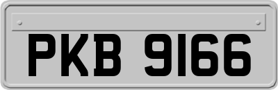 PKB9166
