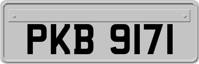 PKB9171