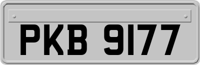 PKB9177