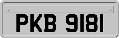 PKB9181