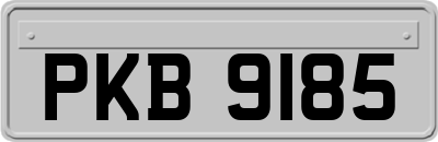 PKB9185