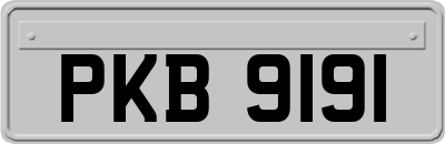 PKB9191
