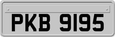 PKB9195