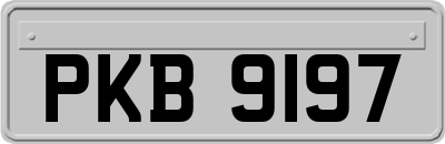 PKB9197