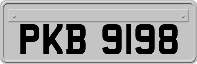 PKB9198