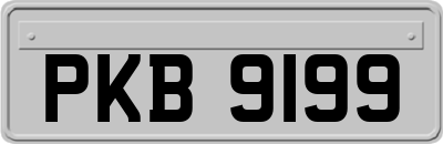 PKB9199