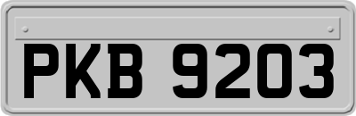 PKB9203