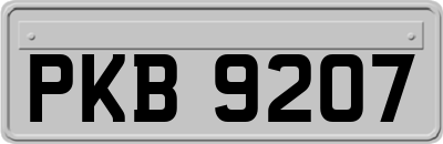 PKB9207