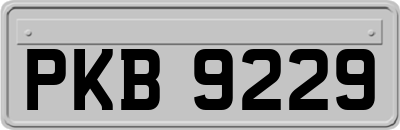 PKB9229