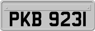 PKB9231