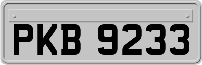 PKB9233