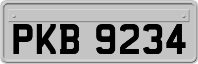 PKB9234
