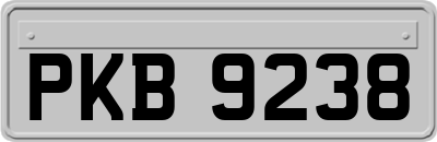 PKB9238