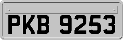 PKB9253