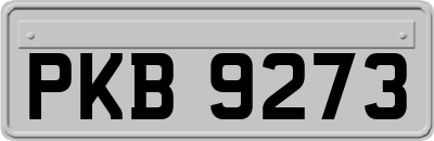 PKB9273