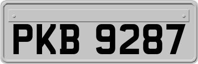 PKB9287