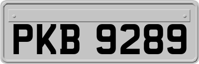 PKB9289