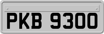 PKB9300