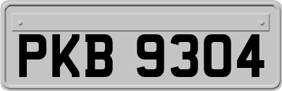 PKB9304