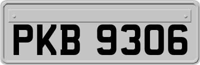 PKB9306