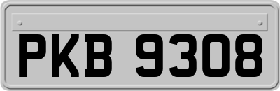 PKB9308