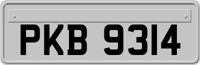 PKB9314