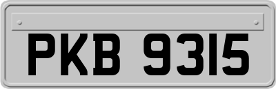 PKB9315