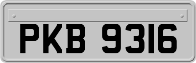 PKB9316