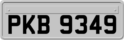 PKB9349