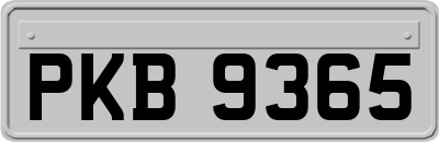 PKB9365