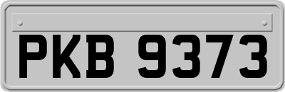PKB9373