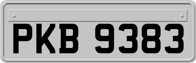 PKB9383
