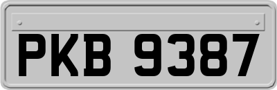 PKB9387