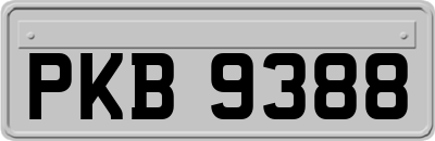 PKB9388