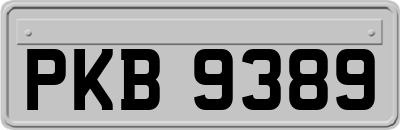 PKB9389