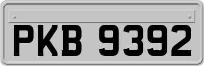 PKB9392