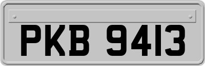 PKB9413