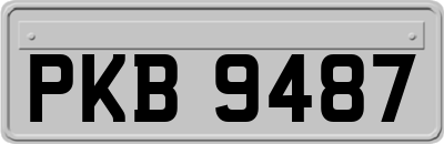 PKB9487
