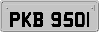 PKB9501
